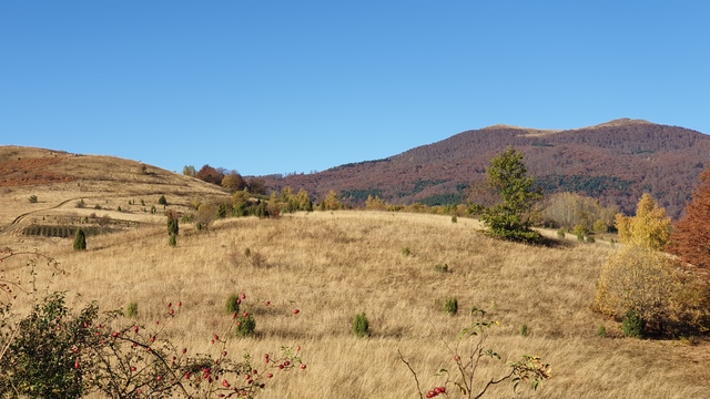 ŽELJIN (1784m); GOČ (1216m)